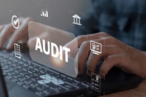 auditing of accounting and finance of a business company