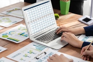 software on computer screen showing financial statement spreadsheets and account balance